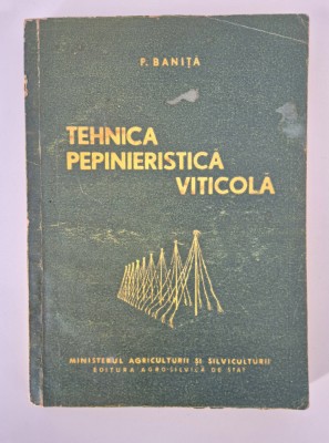 Viticultura Vita de vie P Banita Tehnica pepinieristica viticola foto