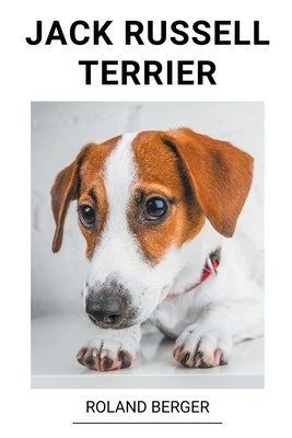 Jack Russell Terrier foto