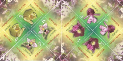 ORHIDEE SALBATICE,SERIE TETE-BECHE,Lp.2132, MNH,2017, ** ROMANIA. foto