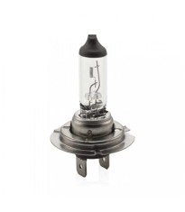 Bec halogen H7 12V 55W +30% intensitate CARGUARD BHA054 foto