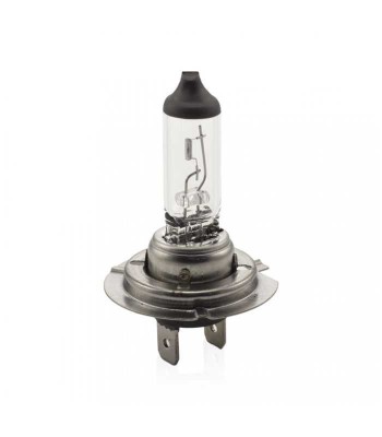 Bec halogen H7 12V 55W +30% intensitate CARGUARD BHA054 foto