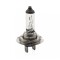 Bec halogen H7 12V 55W +30% intensitate CARGUARD BHA054