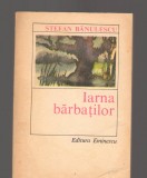 C9416 IARNA BARBATILOR - STEFAN BANULESCU