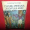 CULTURA SPIRITUALA A EGIPTULUI ANTIC -CONSTANTIN DANIEL