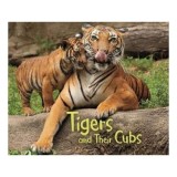 Cumpara ieftin Animal Offspring: Tigers &amp; Their Cubs
