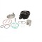 Set motor Minarelli AM6, Aprilia AF1