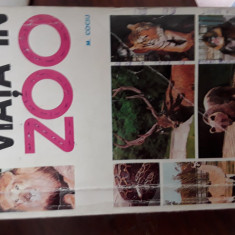 Viata in zoo M.Cociu 1980