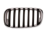 Grila radiator BMW X6 (E71, E72) (2008 - 2014) BLIC 6502-07-0096991P