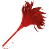 DARKNESS - RED STIMULATING PEN 24CM, DARKNESS SENSATIONS