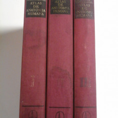 ATLAS DE ANATOMIE UMANA - SINELNIKOV - 3 volume - (in limba spaniola) ATLAS DE ANATOMIA HUMANA