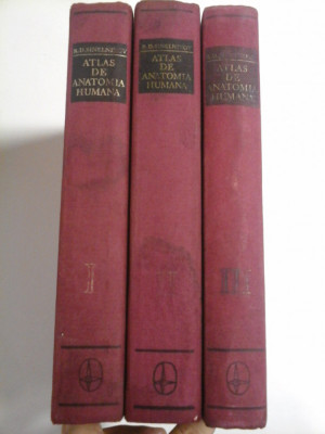 ATLAS DE ANATOMIE UMANA - SINELNIKOV - 3 volume - (in limba spaniola) ATLAS DE ANATOMIA HUMANA foto