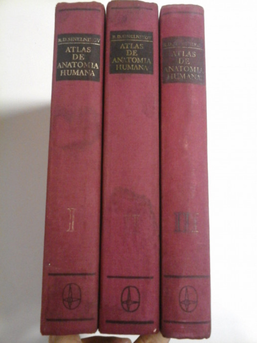 ATLAS DE ANATOMIE UMANA - SINELNIKOV - 3 volume - (in limba spaniola) ATLAS DE ANATOMIA HUMANA