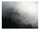 Tablou Canvas Pădurea &icirc;nvăluită &icirc;n ceață misterioasă, 39 x 26 cm, CMCLASS