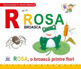 R de la Rosa broasca | Greta Cencetti, Emanuela Carletti, Didactica Publishing House