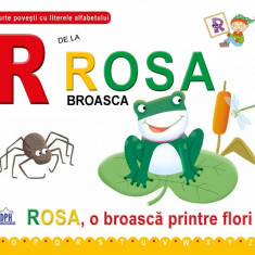 R de la Rosa broasca | Greta Cencetti, Emanuela Carletti
