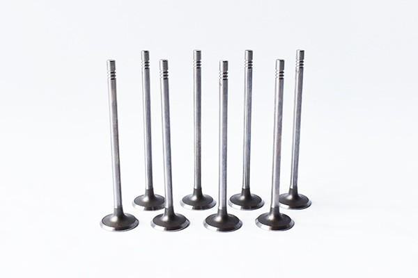 Set Supape Admisie 540987 55828