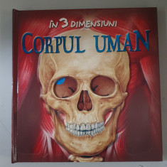 Corpul uman in 3 dimensiuni