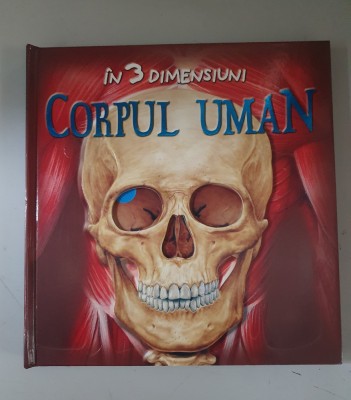 Corpul uman in 3 dimensiuni foto