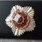 1976 Insigna Fruntas in intrecere