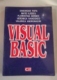 Visual basic - Gheorghe Popa, Matei Iliescu