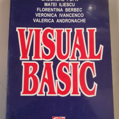 Visual basic - Gheorghe Popa, Matei Iliescu