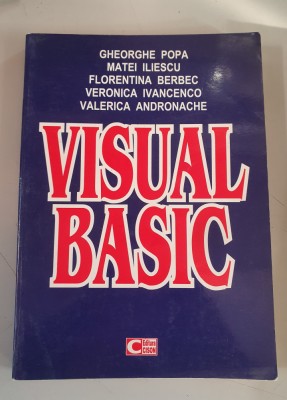 Visual basic - Gheorghe Popa, Matei Iliescu foto
