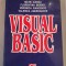 Visual basic - Gheorghe Popa, Matei Iliescu