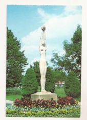 RF86 - Carte Postala - Buzias, Parcul Central, necirculata