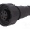 Conector circular, mama, 6 pini, BULGIN - PX0739/S