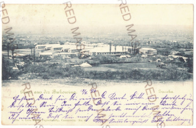 4951 - JURICA VECHE, Bucovina Suceava Panorama Litho - old postcard - used 1899 foto