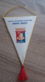 D9 9 - fanion - sport - polo pe apa - Consiliul pentru educatie fizica si sport Bucuresti