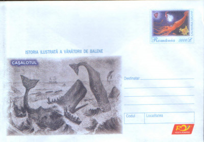 Intreg pos plic nec 2004 - Istoria Ilustrata a Vanatorii de Balene - Casalotul foto
