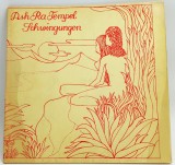 Ash Ra Tempel - Schwingungen VG+ / VG+ vinil Lp disc rock progresiv krautrock Ohr Germania 1972