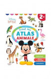 Cumpara ieftin Disney Bebe. Primul meu atlas. Animale