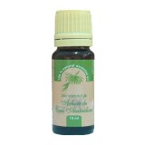 Ulei esential arbore de ceai australian(tea tree) 10ml herbavit