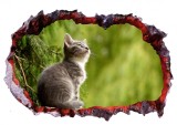 Autocolant decorativ, Gaura in perete, Multicolor, 85 cm, 500STC-1, animale si pasari, Oem