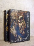 Comentariu la Divina Comedie - George Cosbuc