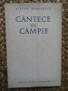 CANTECE DE CAMPIE de STEFAN BANULESCU , 1968