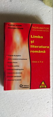 LIMBA SI LITERATURA ROMANA CLASA A X A HADRAIN SOARE , STARE FOARTE BUNA . foto