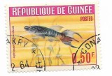 Guineea - Pesti din Guineea, 1964 - valoare obliterata
