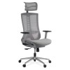 SCAUN ERGONOMIC DE BIROU MULTIFUNCTIONAL CU TETIERA REGLABILA 2D