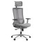 SCAUN ERGONOMIC DE BIROU MULTIFUNCTIONAL CU TETIERA REGLABILA 2D