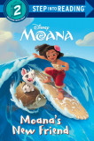 Moana&#039;s New Friend (Disney Moana)