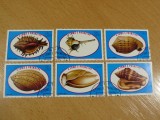 S&atilde;o Tom&eacute; și Pr&iacute;ncipe Scoici Marine Faună Marină Serie Completă Lot 6 Mărci -A771