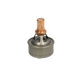 Termostat QH Renault