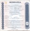 Bnk div Certificat actionar Rulmenti grei Ploiesti - 1996, Romania de la 1950