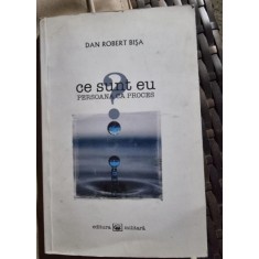 Dan Robert Bisa - Ce sunt eu?