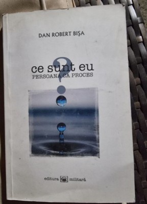 Dan Robert Bisa - Ce sunt eu? foto
