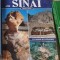 Collectif - Sharm El Sheikh and Sinai