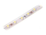 Bandă LED alb cald 12V 60 LED/m IP65